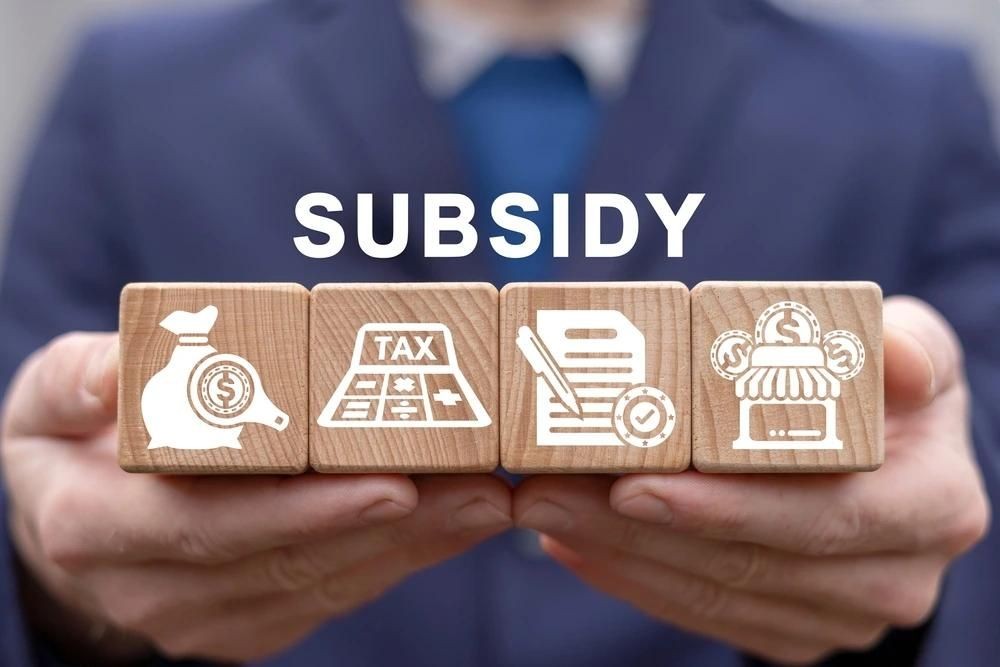 Blocks with subsidy symbols: money bag, tax form, document with pen, and business icon.
